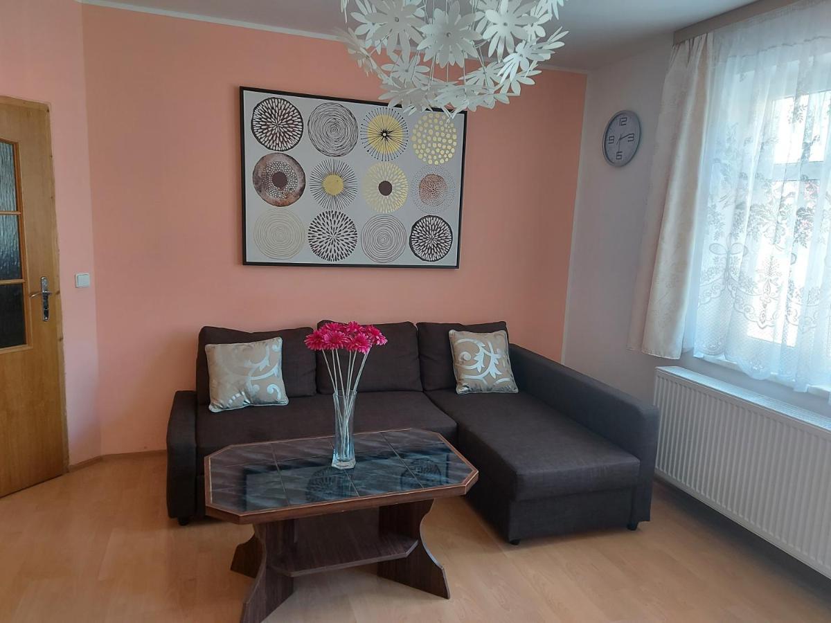 Apartman Jachymov Krusne Hory Eksteriør billede
