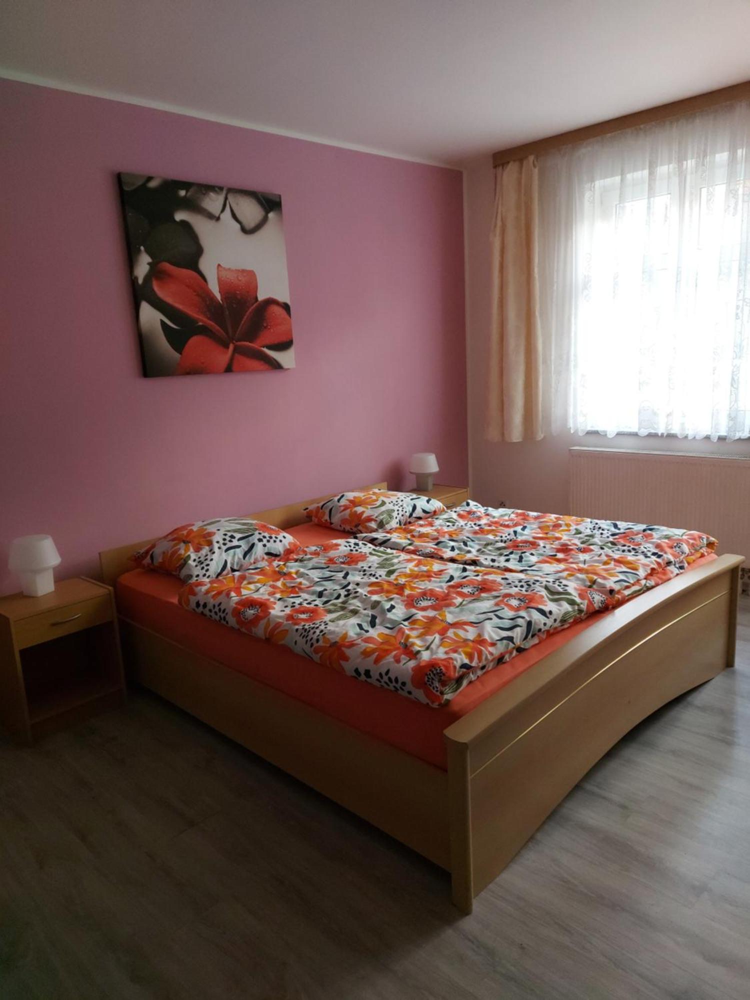 Apartman Jachymov Krusne Hory Eksteriør billede